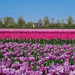 Appartamento 6 Op Recreatiepark De Wielen