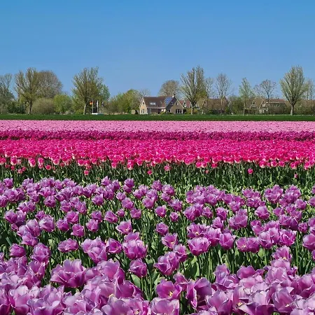 Appartement 6 Op Recreatiepark De Wielen