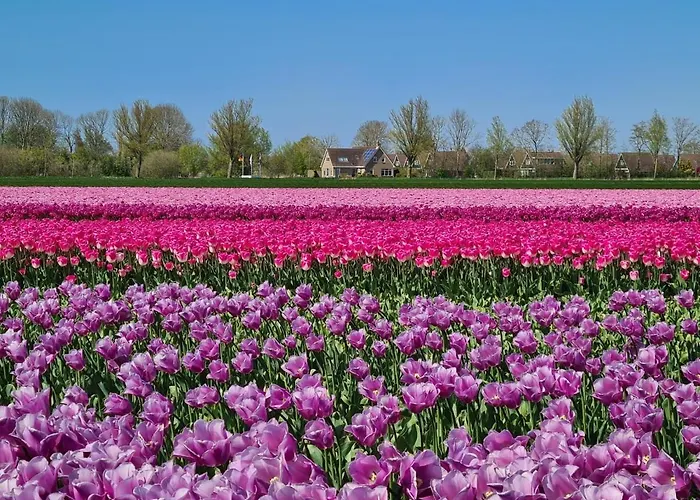 Apartmán 6 Op Recreatiepark De Wielen